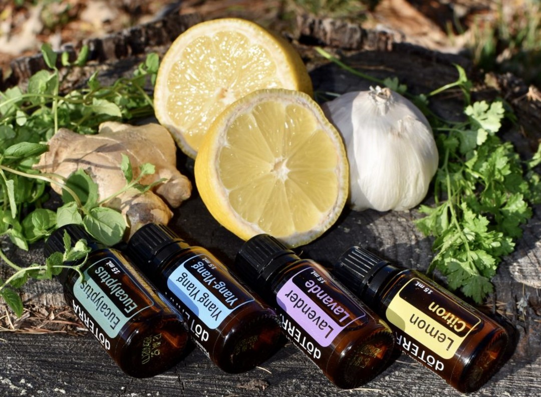 Naturopathy Naturopath Kathy Heppell Energy Code